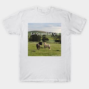 Pony Horse Let Go and Let God - Inspirational Quote T-Shirt